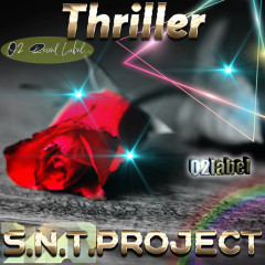 S.N.T.Project