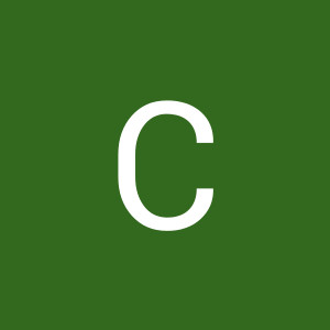 User_13811
