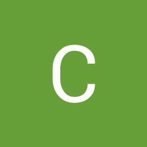 User_13829