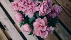 User_14230
