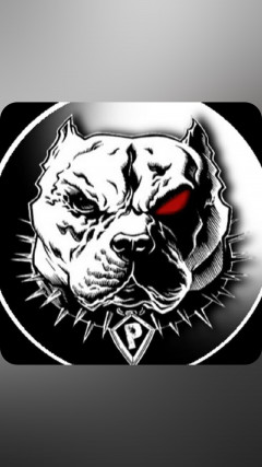 User_14870