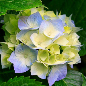 User_14988