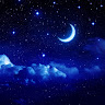 User_13427