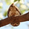 User_14741
