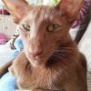 User_14819