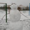 User_15146