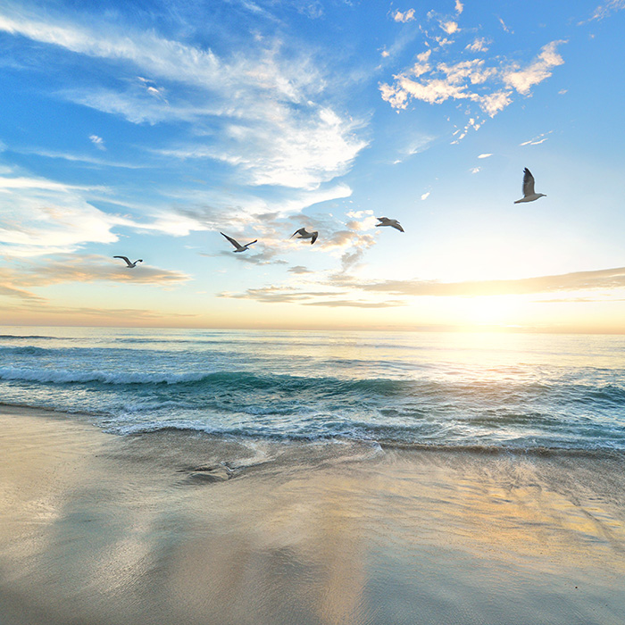 Обкладинка