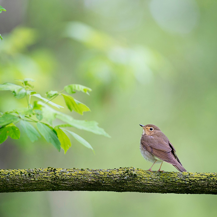 Обкладинка