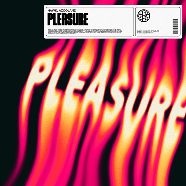  HAWK - Pleasure (feat. Azooland)