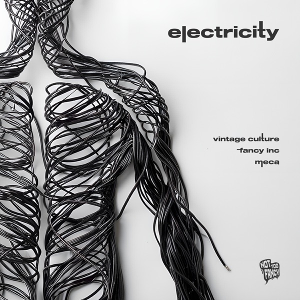  Vintage Culture, Fancy Inc, Meca - Electricity