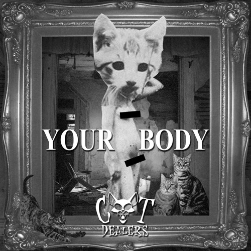  Cat Dealers - Your Body
