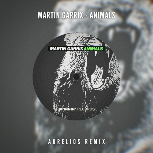  Martin Garrix - Animals (Aurelios Remix)