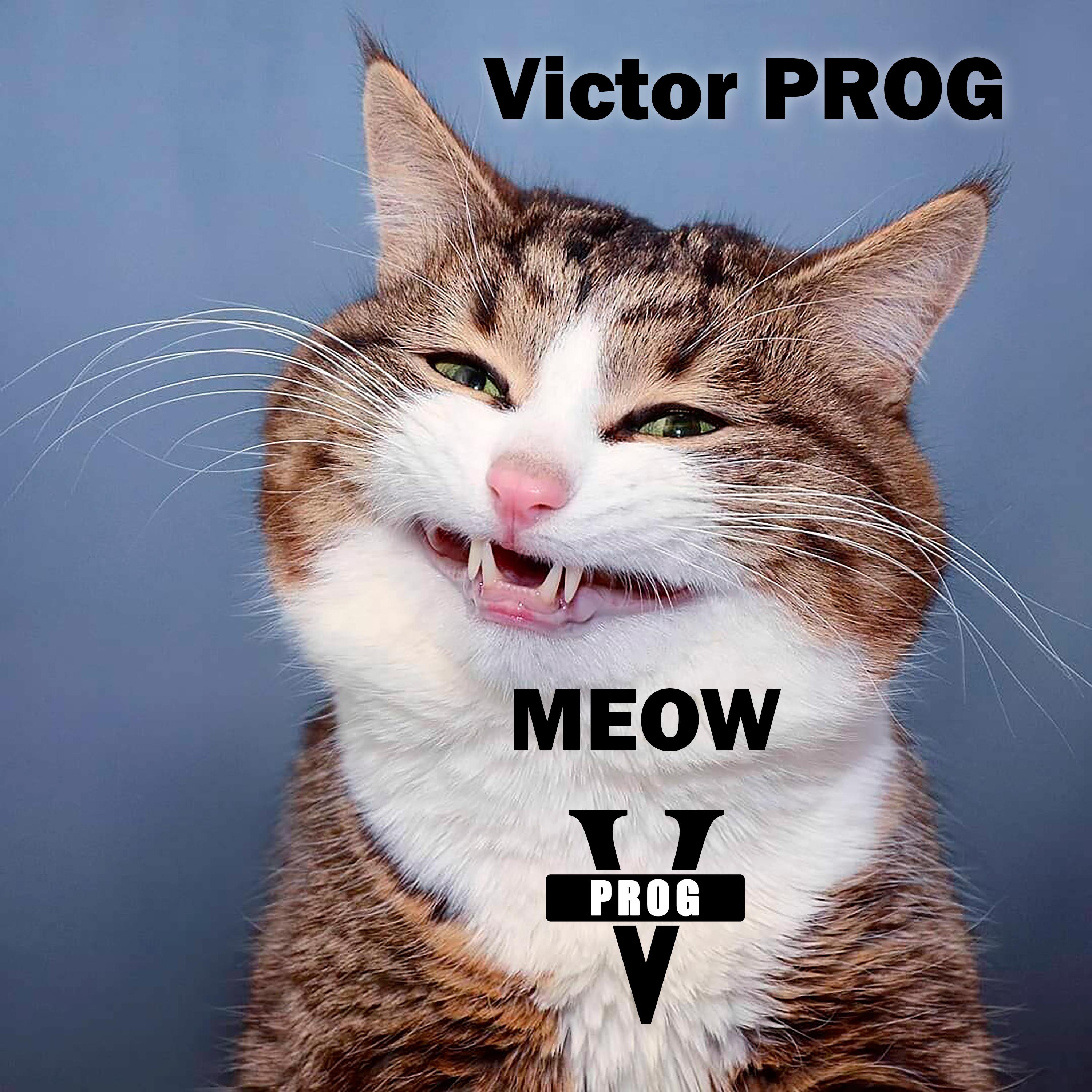  Victor PROG - Meow