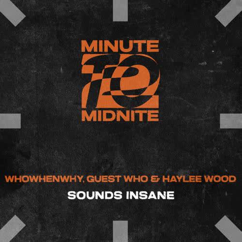  WHOWHENWHY, Guest Who & Haylee Wood - Sounds Insane (Extended Mix)