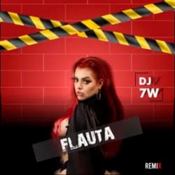 Mc Mari, DJ 7W, Love Fluxos - Flauta (Remix)