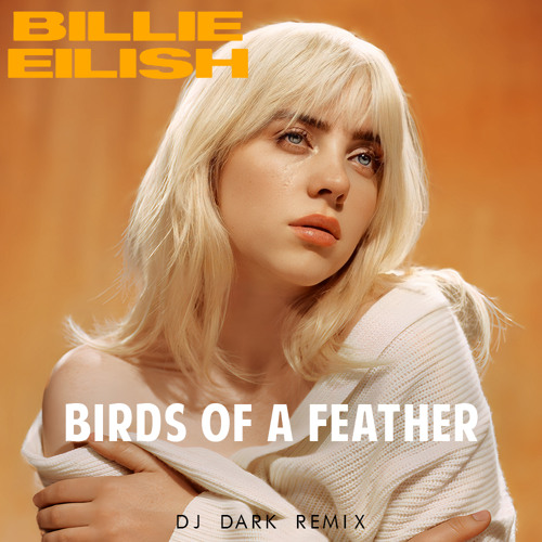  Billie Eilish - Birds Of A Feather