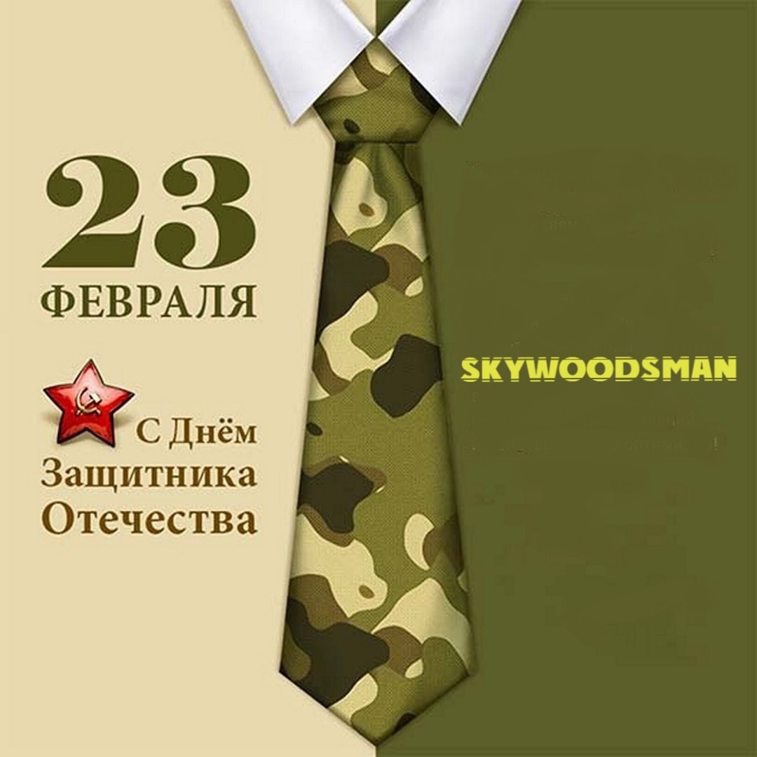 Cover Dr.skywoodsman - 23 февраля
