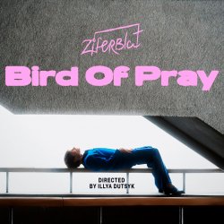 Bird of Pray