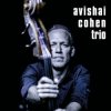 Avishai Cohen - Shuffle