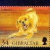 Вячеслав Бутусов - Гибралтар-лабрадор