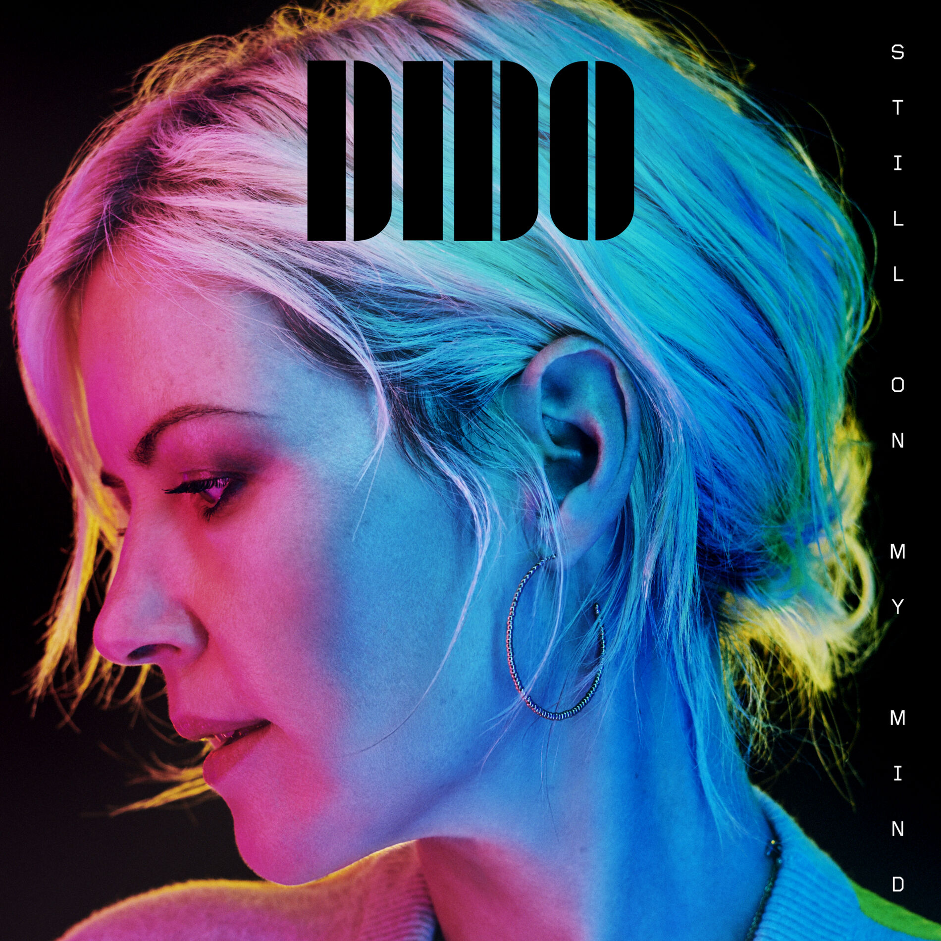 Cover DIDO - Hunter