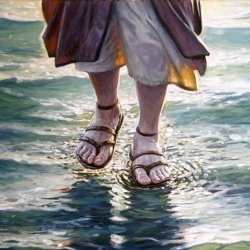 �������� �� ����