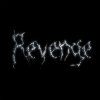 Cover The Revenge - Every Night The Revenge - Every Night