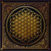 Cover Bring Me The Horizon - Can You Feel My Heart Bring Me The Horizon - Can You Feel My Heart