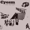 Cyesm - Our Leaders