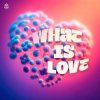 SYNFLO & Niki Four - What Is Love