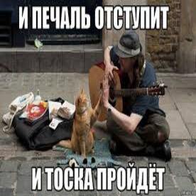Cover Ноль - Человек И Кошка