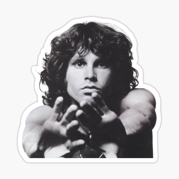 Cover The Doors - The Crystal Ship