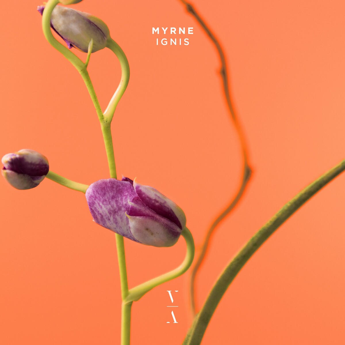  MYRNE - Time (Something To You)