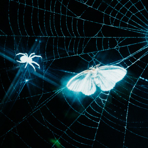  MOTHICA - Toxins (Remix)