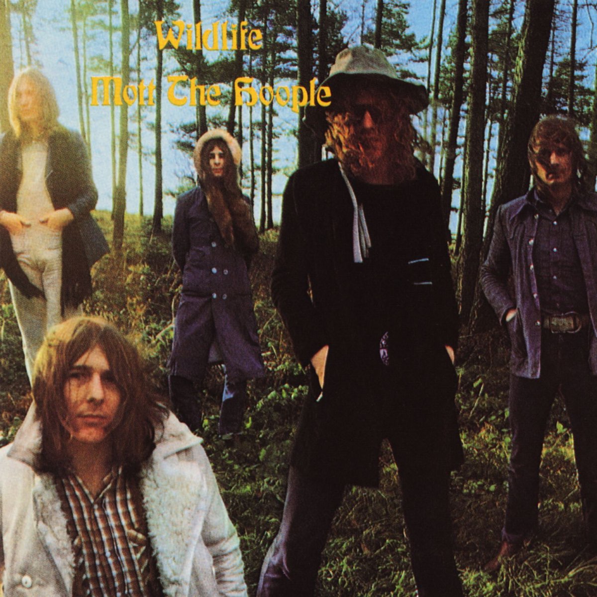 Cover Mott the Hoople - Whisky Woman