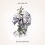 Cover RoughMath - Muscle Memory