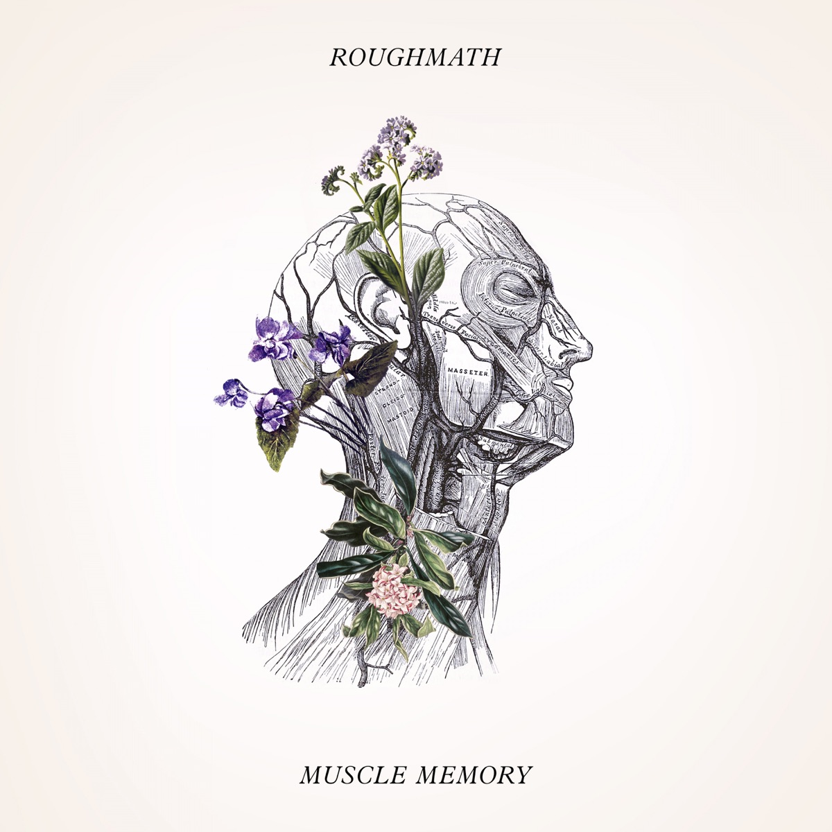 Cover RoughMath - Muscle Memory
