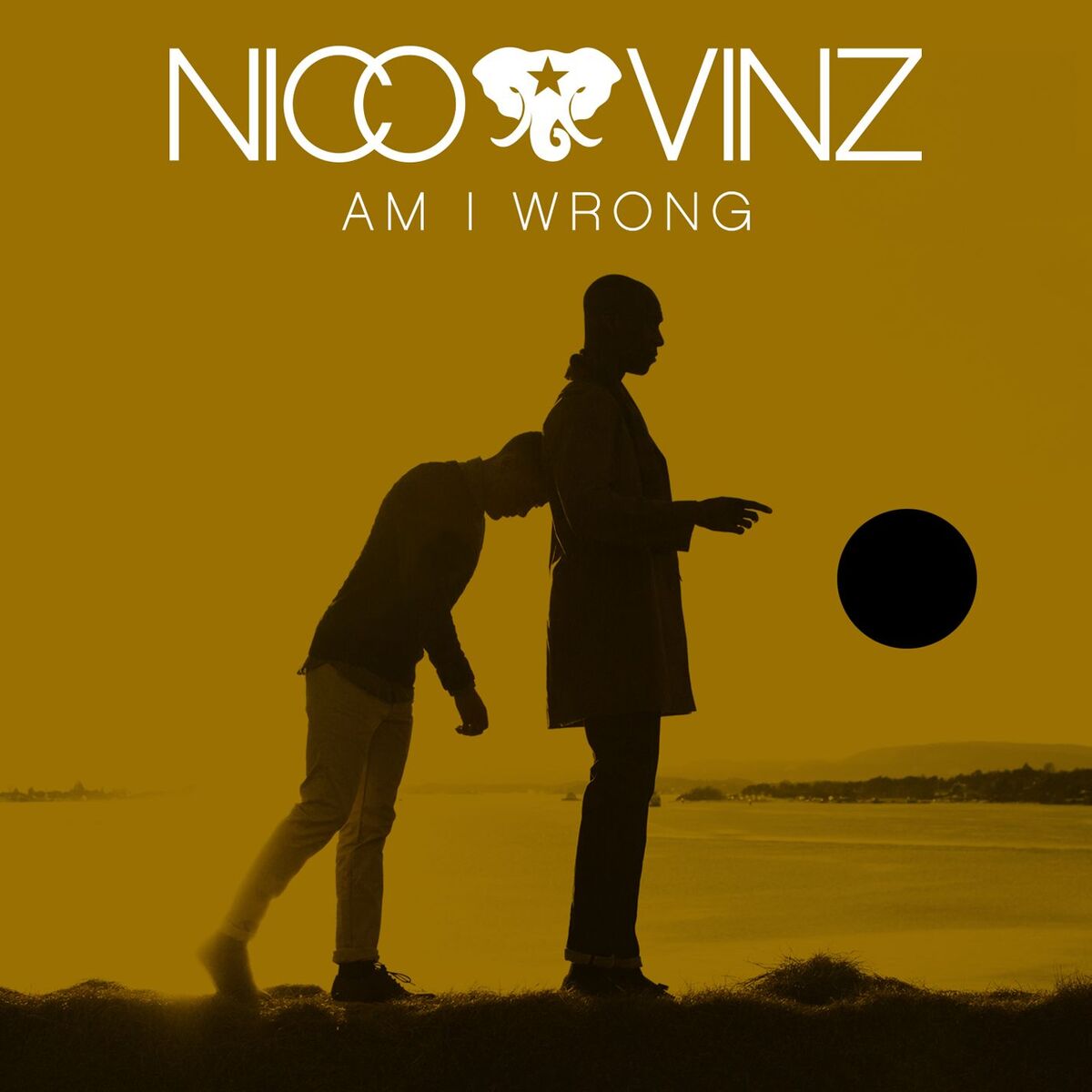 Cover Nico & Vinz - Am I Wrong