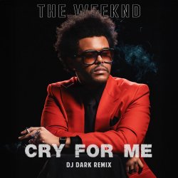 Cry For Me (Dj Dark Remix)