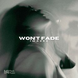 Won't Fade (Original Mix)