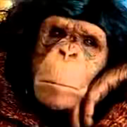 ������� - �� ��� � �� �������� �����