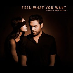 Feel What You Want (Fairplay Remix)