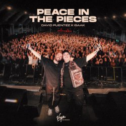 Peace In The Pieces
