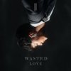Cover JJ - Wasted Love JJ - Wasted Love