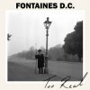 Cover Fontaines D.C - Before You I Just Forget Fontaines D.C - Before You I Just Forget