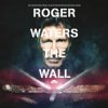 Roger Waters - Comfortably Numb