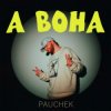 Pauchek - А ВОНА