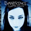 Evanescence - Haunted