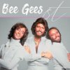 Bee Gees - Man In The Middle