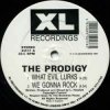 The Prodigy - Minefields (Headrock Dub)